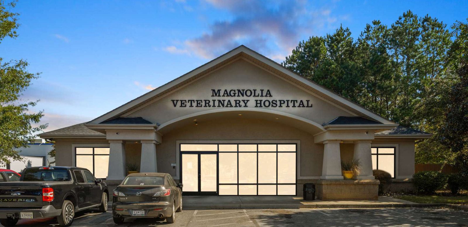 Magnolia Veterinary Hospital, Anderson, South Carolina
